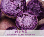 新鲜红薯紫薯
