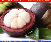 泰国进口5A空运山竹16斤
